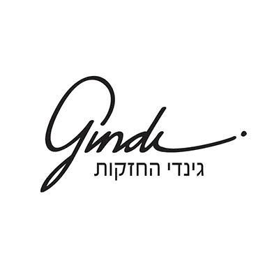 גינדי החזקות