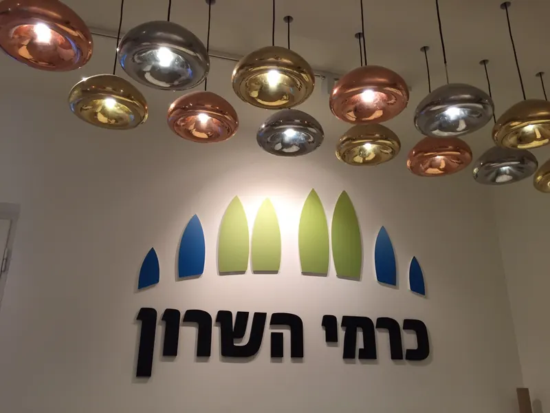 משרד מכירות ושילוט פרויקט כרמי השרון — עבודה של אדם שלטים — תמונה 5