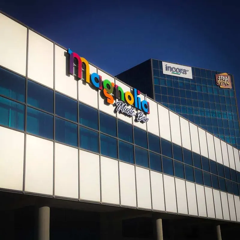 שילוט ועיצוב ב־Magnolia Bar — עבודה של אדם שלטים — תמונה 6
