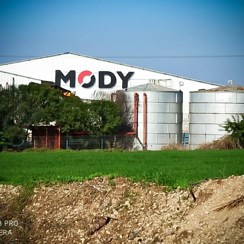 שילוט חנות MODY — עבודה של אדם שלטים — תמונה 10