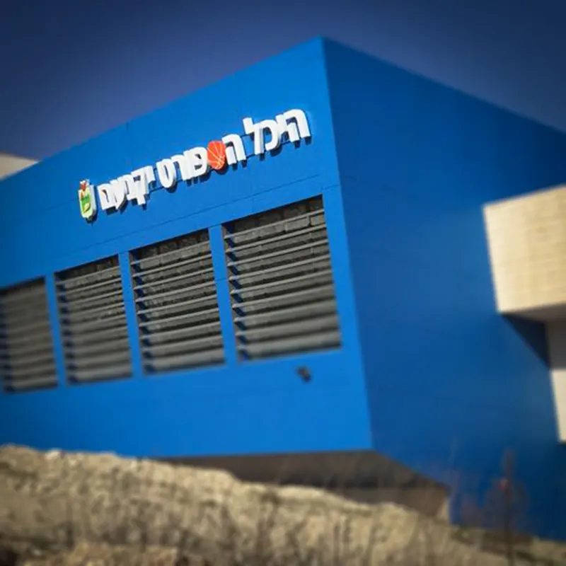 שילוט הכוונה וחוץ למוסד ציבורי — עבודה של אדם שלטים — תמונה 9
